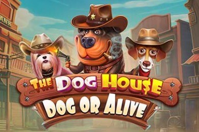 Thedoghousedogoralive игровой автомат Кешбэк Казино